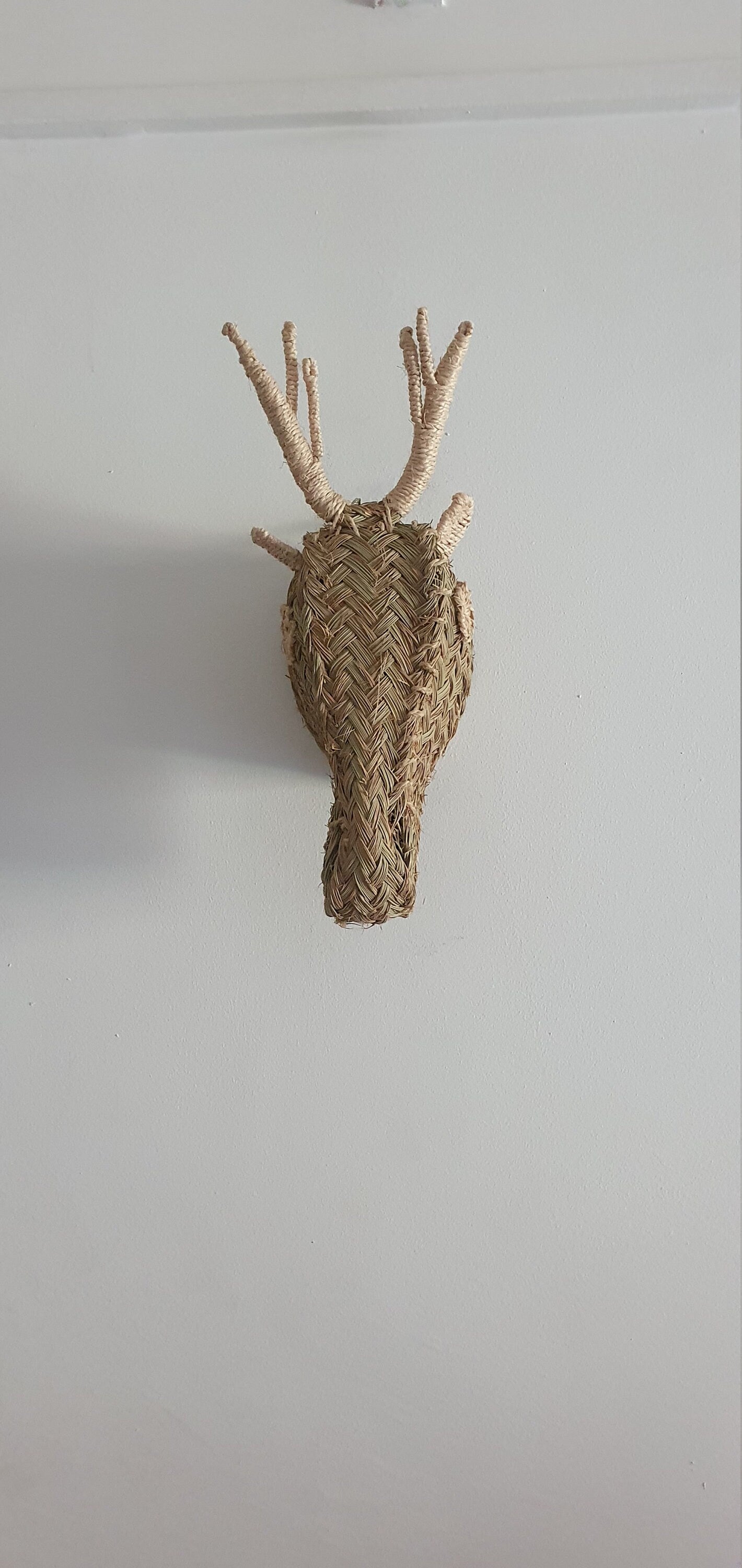 Trophées artisanaux en paille et délices marocains
