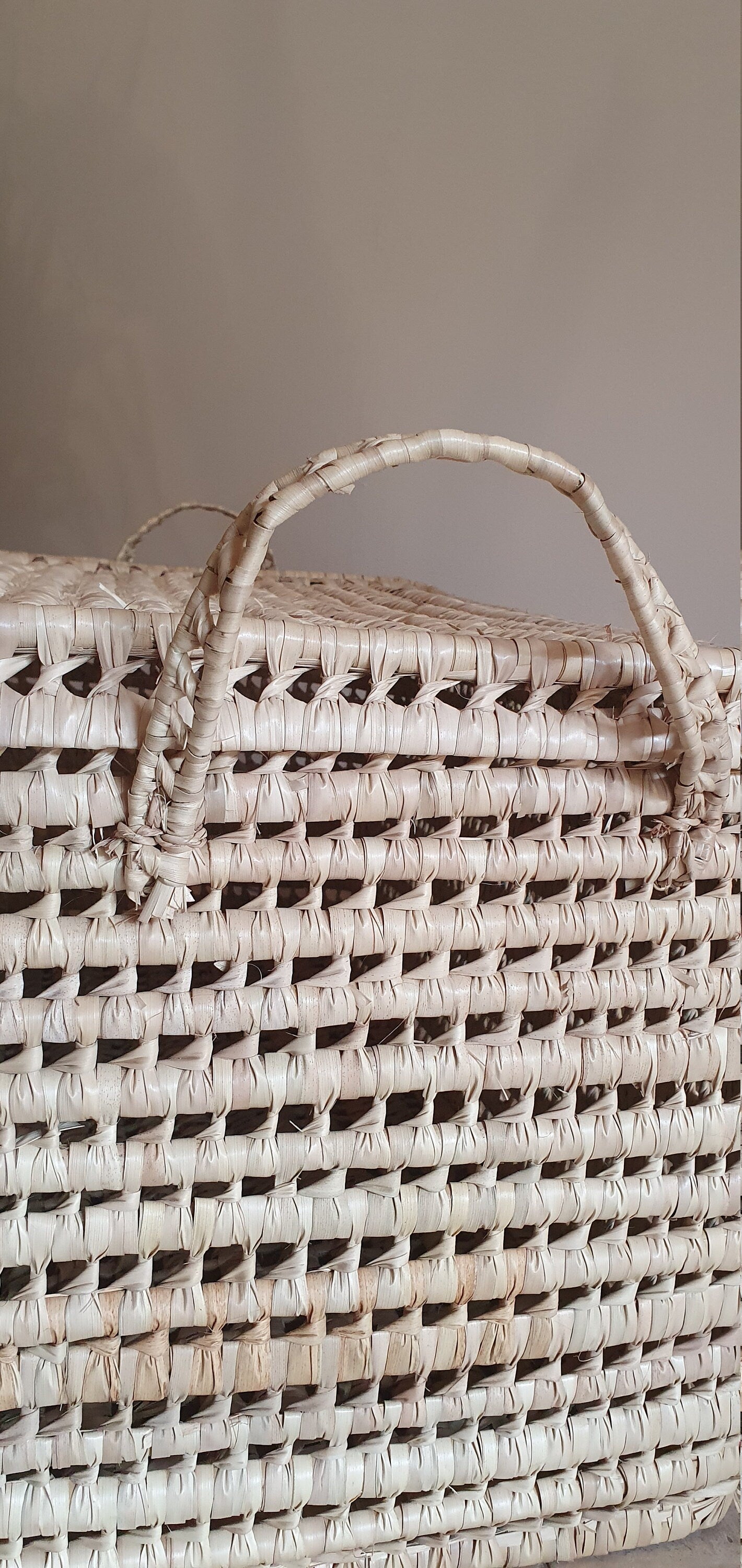 Ensemble de rangement naturel en osier tressé