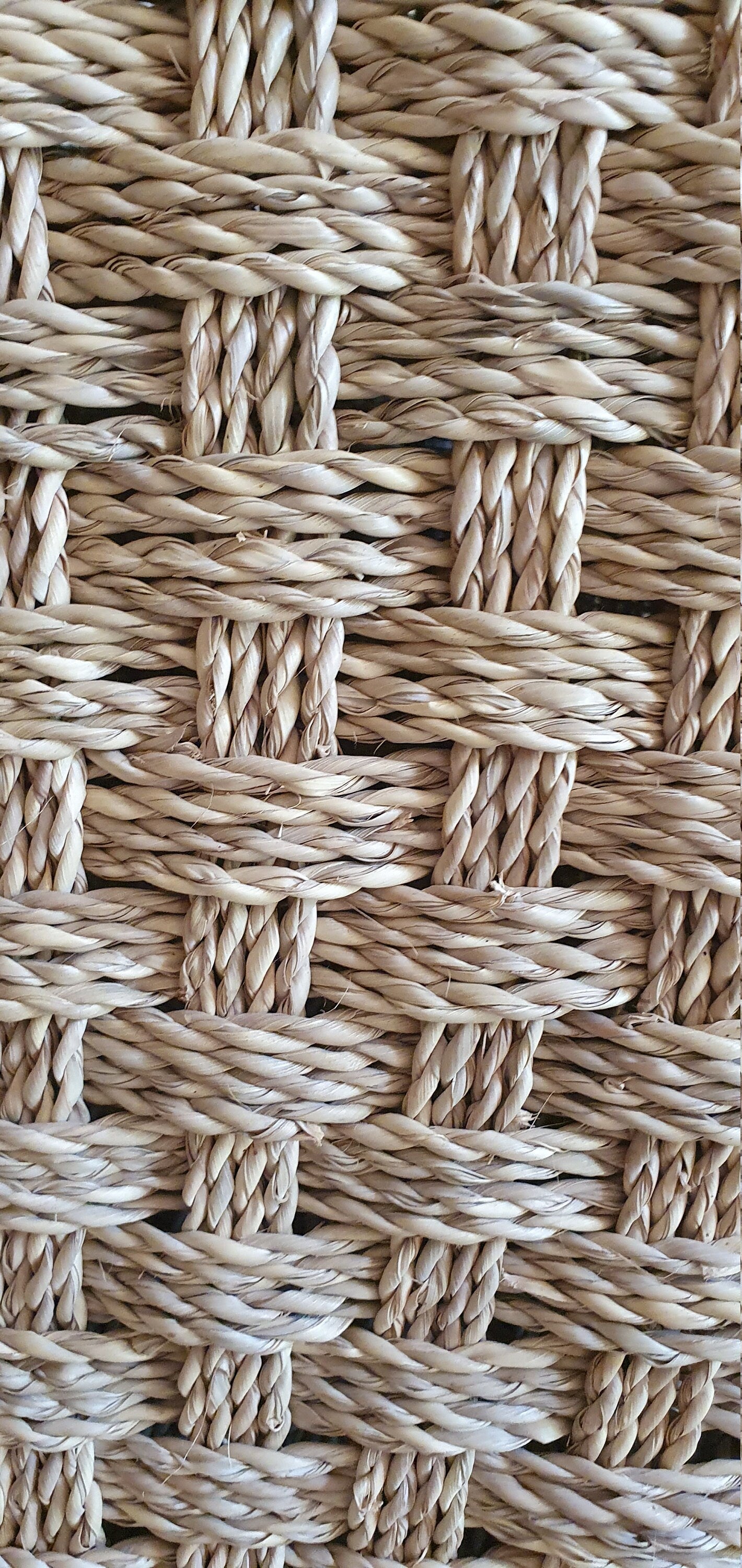 Coffre à jouet en osier naturel, solution de rangement fonctionnelle et esthétique