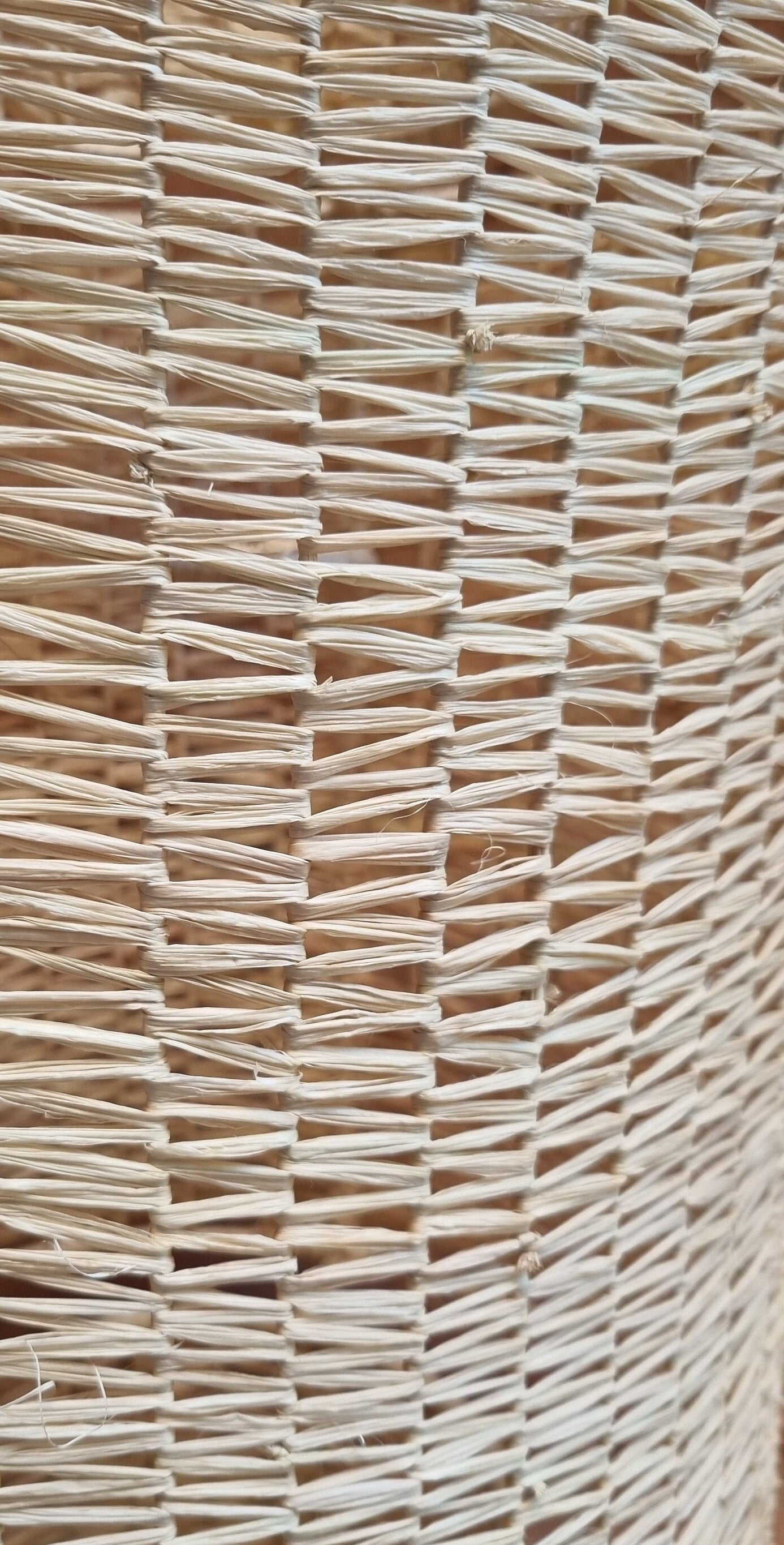 Trendy Raffia Bohemian Chic Ceiling Lamp
